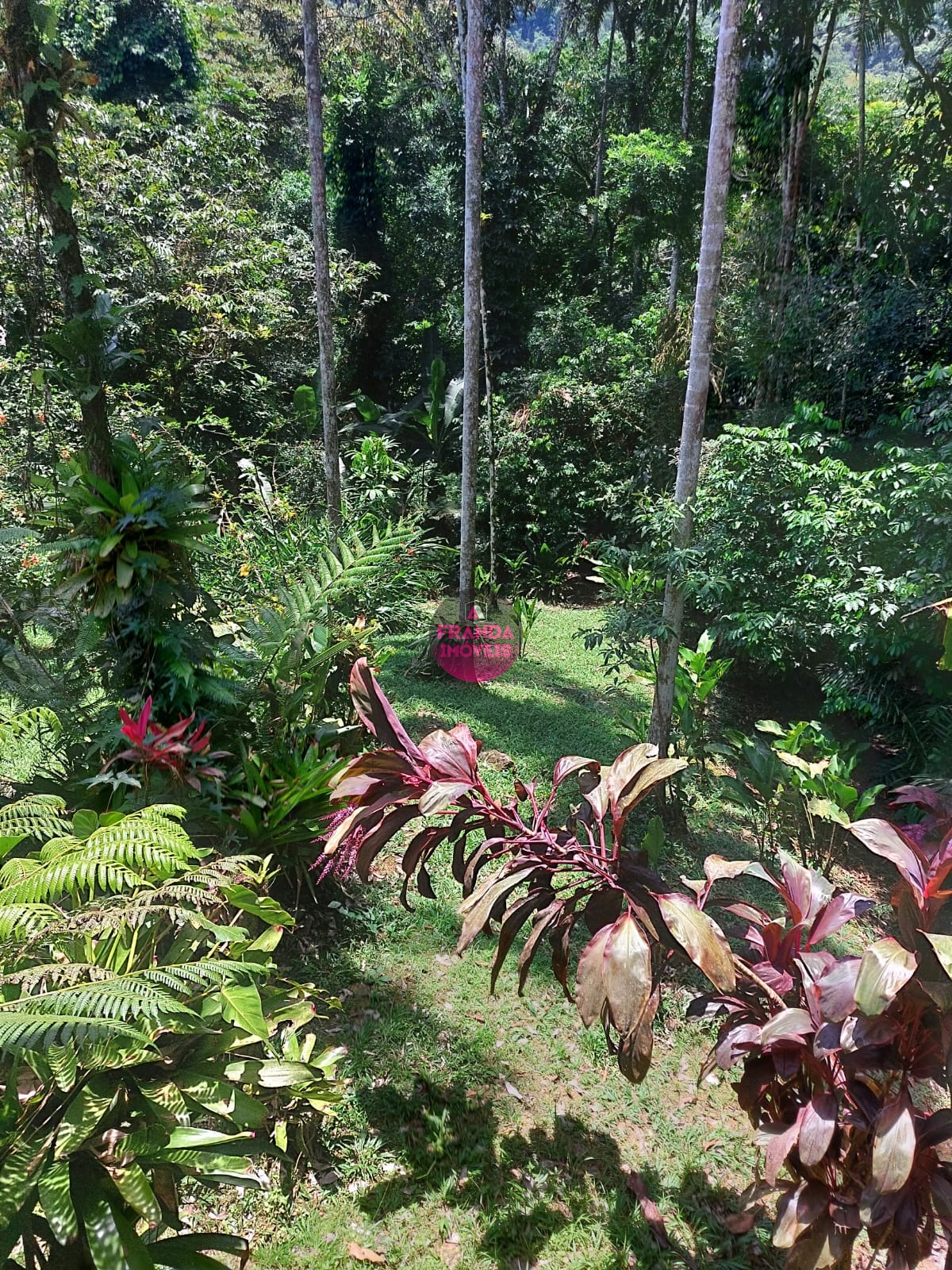 Casa, 4 quartos, 230 m² - Foto 27